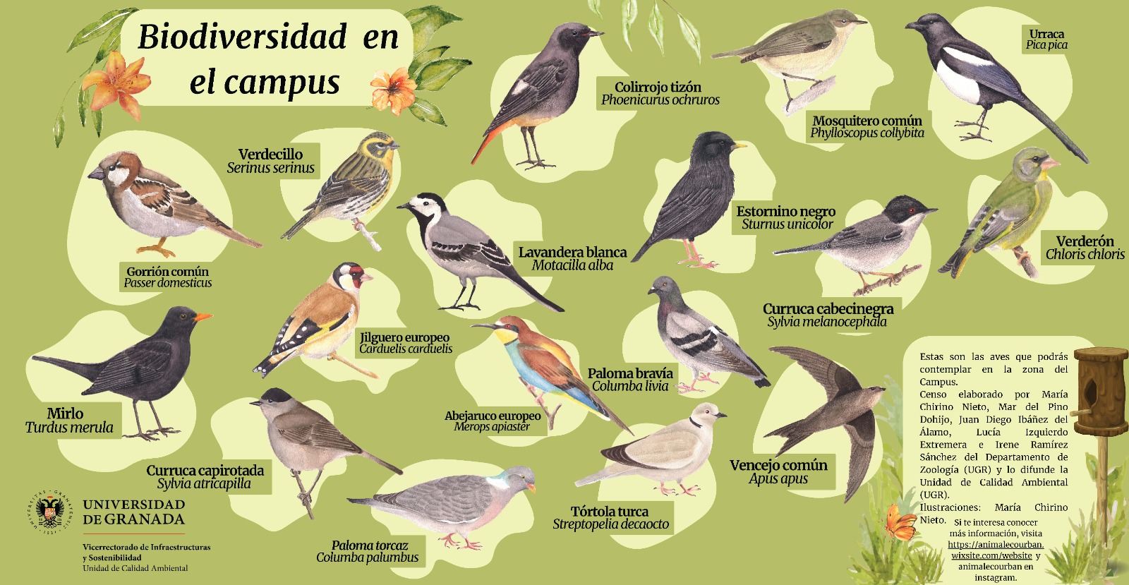 Avistamiento de aves en el Campus PTS