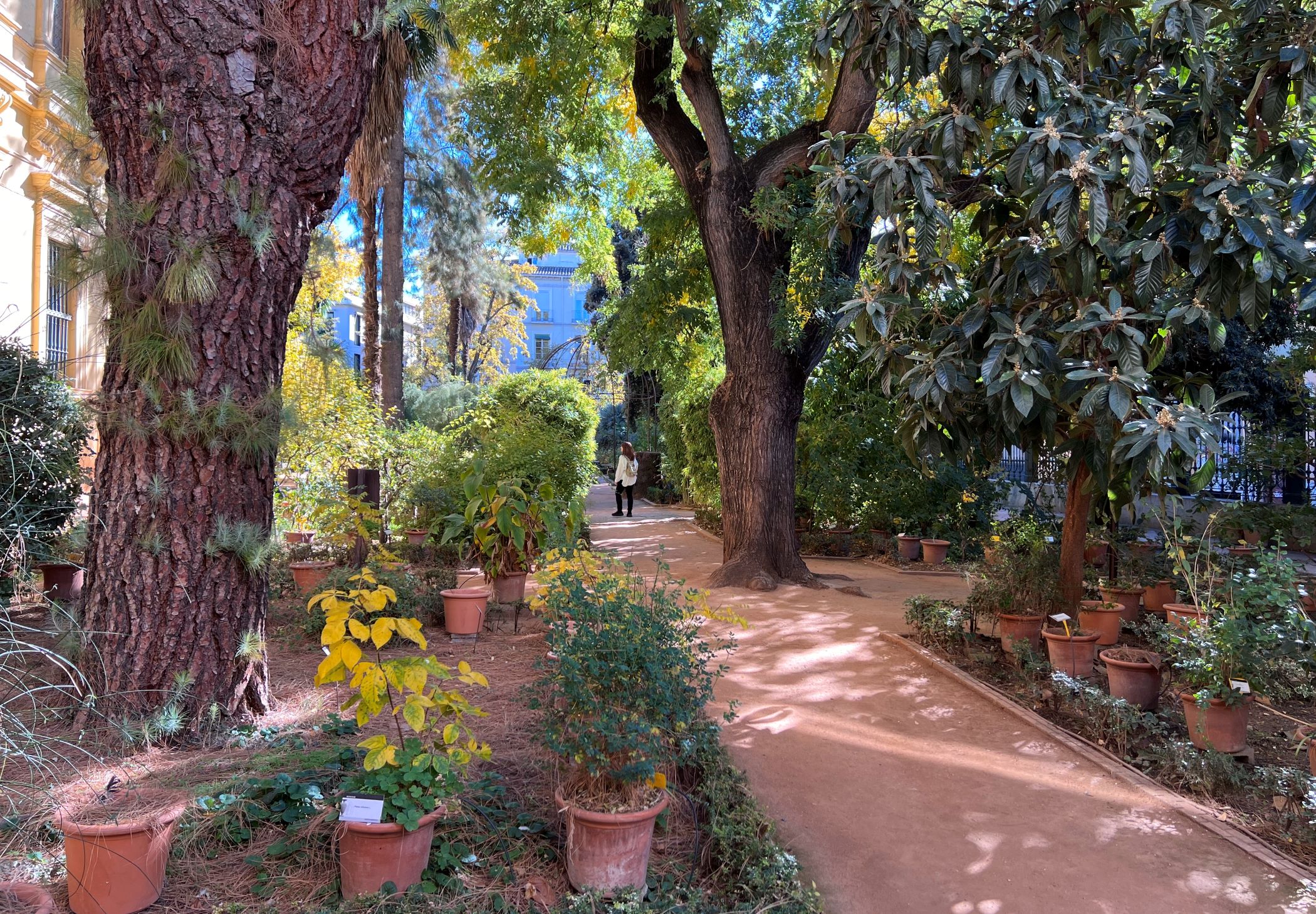 Vista del jardín Botánico de la Facultad de Derecho