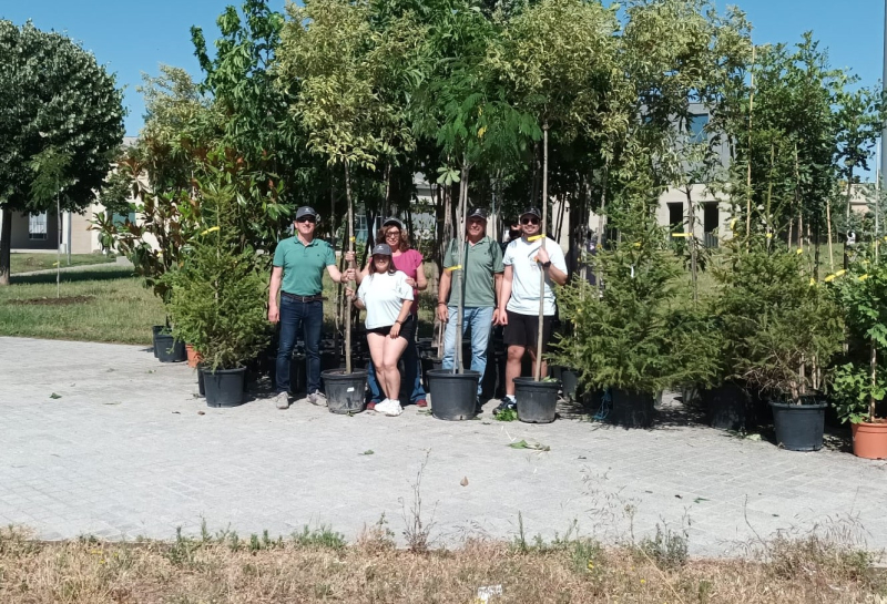 Renaturalización del Campus del PTS 120 árboles para el Campus del PTS