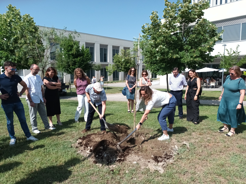 Plantación de un árbol Plantación de un árbol como compensación del evento